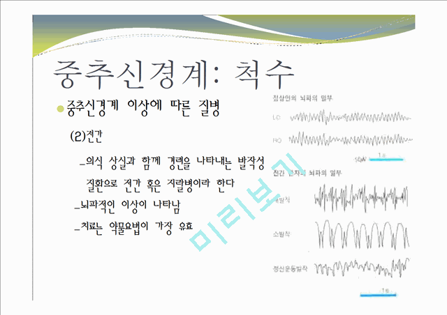 중추신경계, 체성신경계, 자율 신경계에 대한 이해와 사진들.ppt