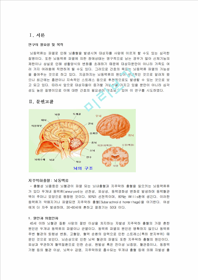 지주막하출혈 간호사정.hwp