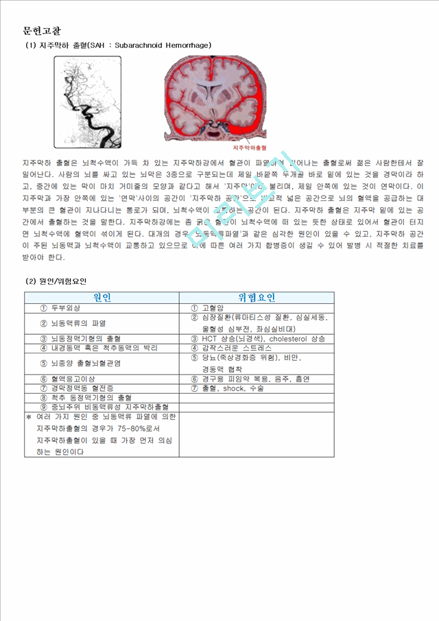 지주막하출혈 문헌고찰과 간호과정.hwp