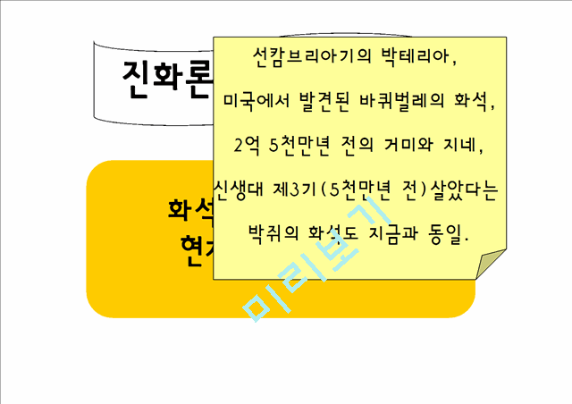 창조론.pptx