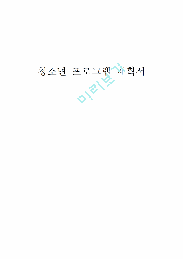 청소년 프로그램 계획서.hwp