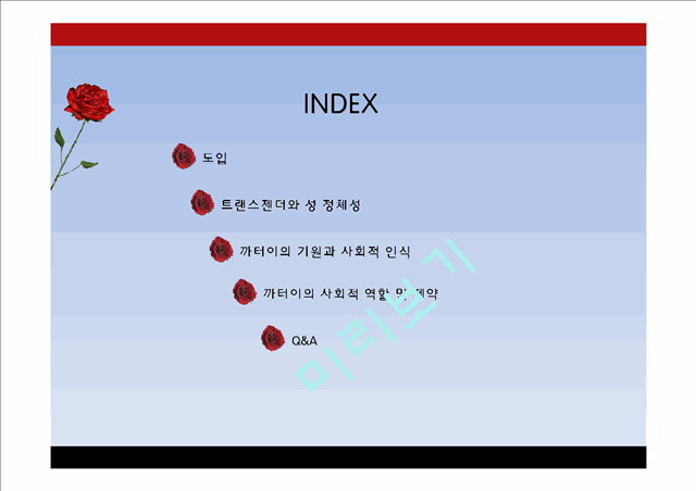 태국의 트렌스젠더와 까터이 문화.pptx