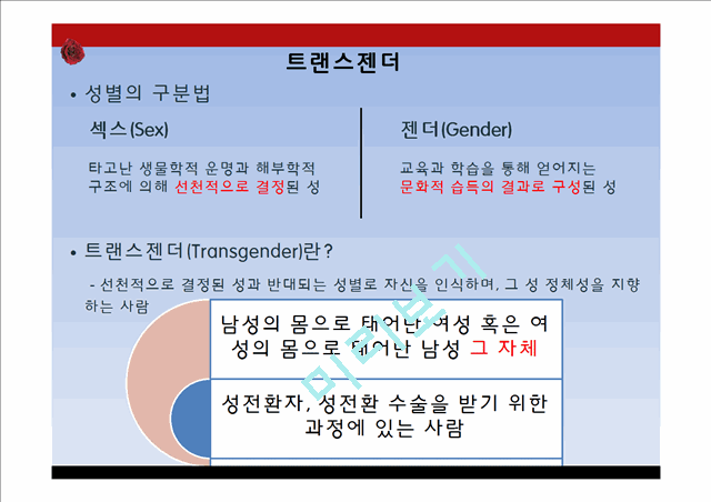 태국의 트렌스젠더와 까터이 문화.pptx