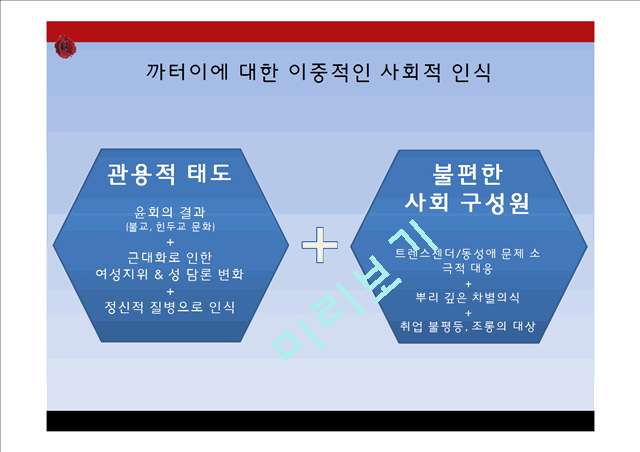 태국의 트렌스젠더와 까터이 문화.pptx