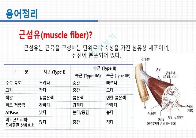 통증생리,통즈으이정의,글곡격계,신경계,말초신경계,감각수용기.pptx