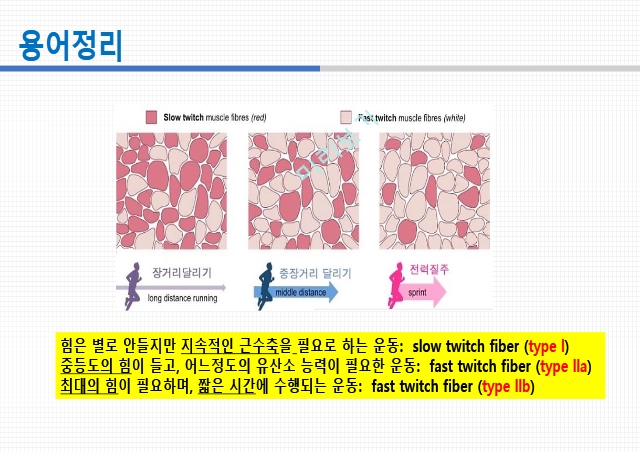 통증생리,통즈으이정의,글곡격계,신경계,말초신경계,감각수용기.pptx