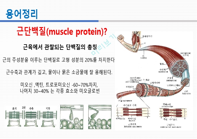 통증생리,통즈으이정의,글곡격계,신경계,말초신경계,감각수용기.pptx