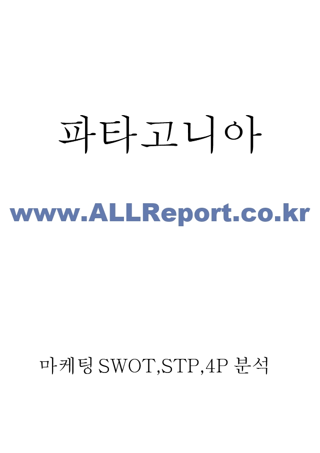 파타고니아 마케팅 SWOT,STP,4P전략 분석과 파타고니아 기업분석 및 친환경 경영전략 분석과 느낀점.hwp