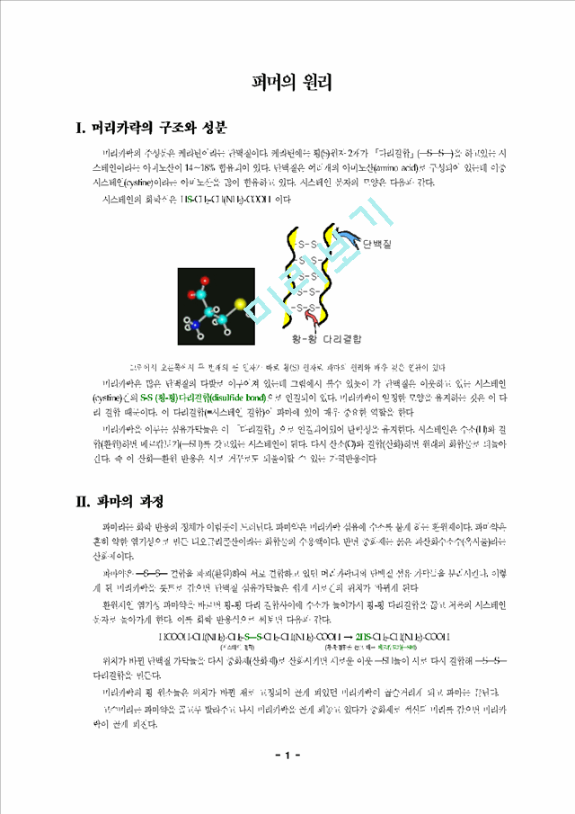 퍼머의 원리.hwp