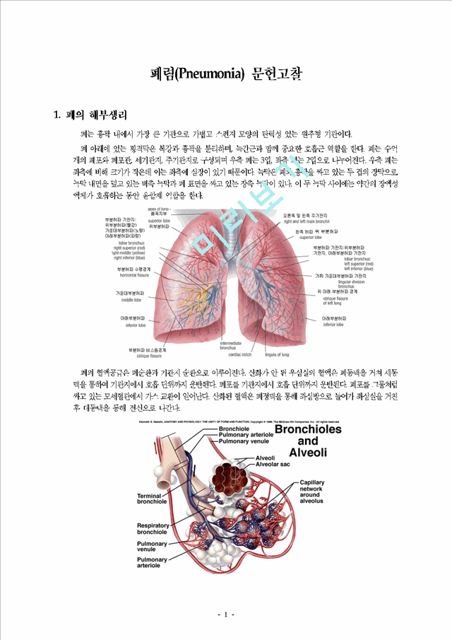 폐렴(Pneumonia) 문헌고찰.hwp