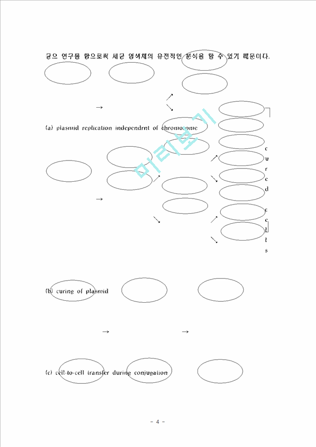 플라스미드.hwp