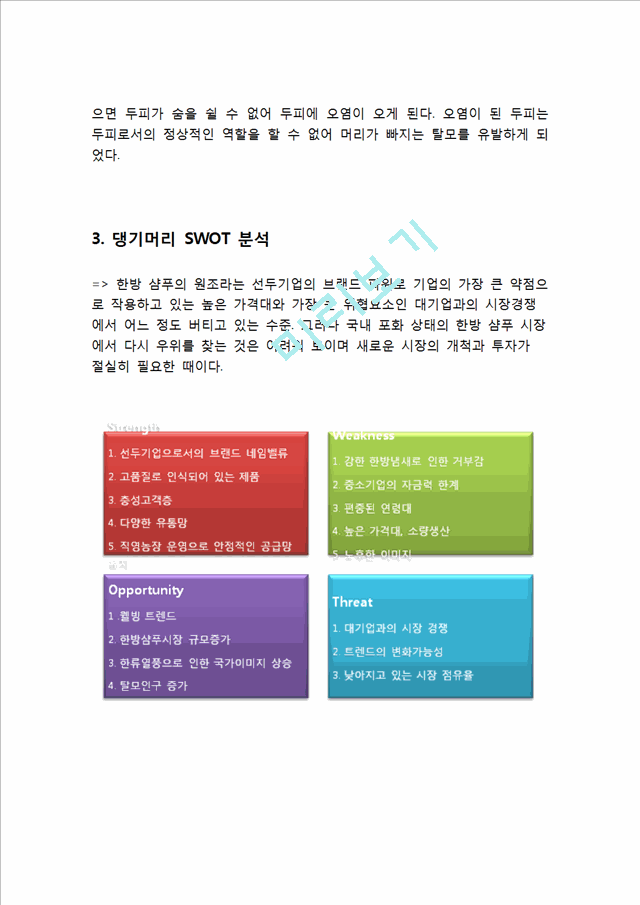 한방샴푸 댕기머리 제품분석과 댕기머리 마케팅 SWOT,STP,4P전략분석과 댕기머리 미래전략제안.hwp