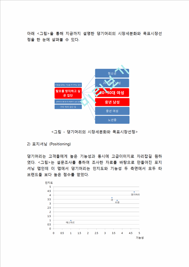 한방샴푸 댕기머리 제품분석과 댕기머리 마케팅 SWOT,STP,4P전략분석과 댕기머리 미래전략제안.hwp