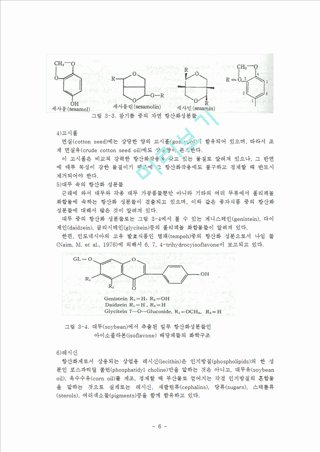 항산화제.hwp