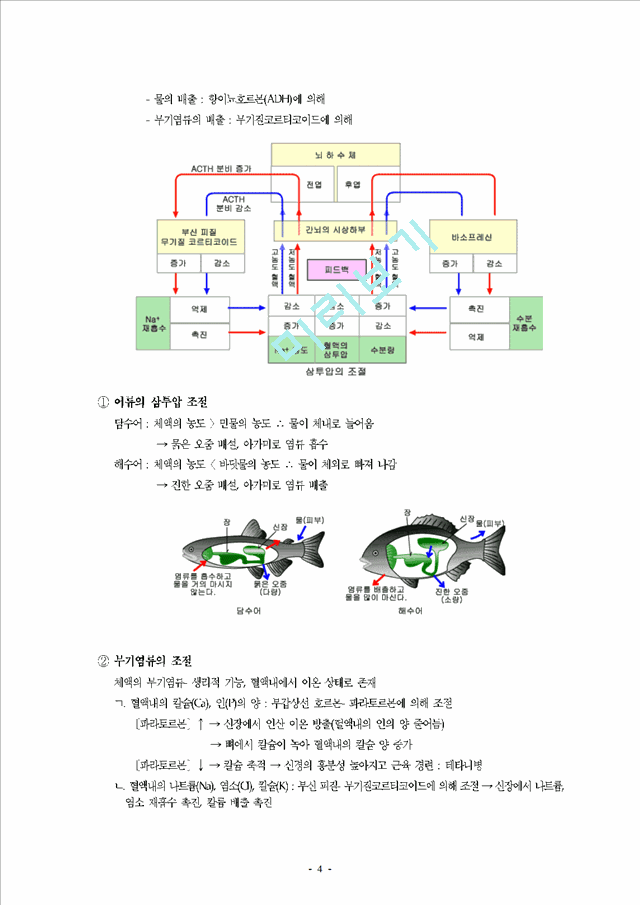 항상성(Homeostasis)에 관하여.hwp