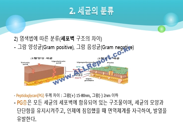 항생제1.pptx