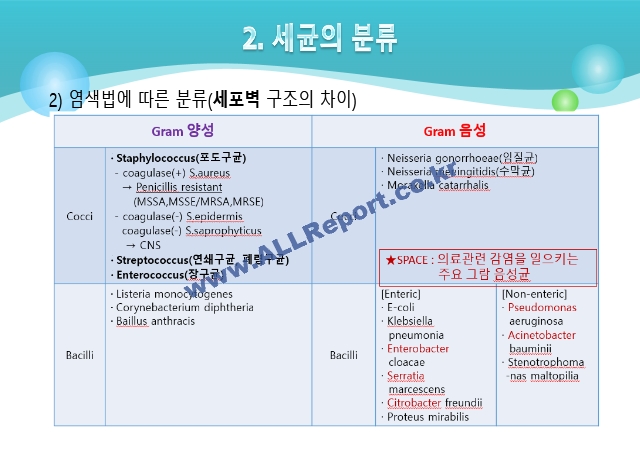 항생제1.pptx