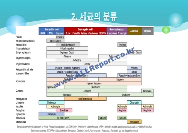 항생제1.pptx