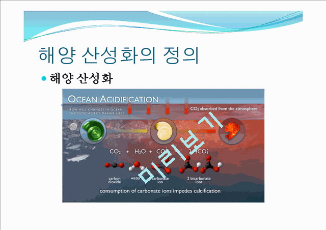 해양산성화의 정의와 원인,실태,피해,예방,완화 및 그외의 해양질병.pptx