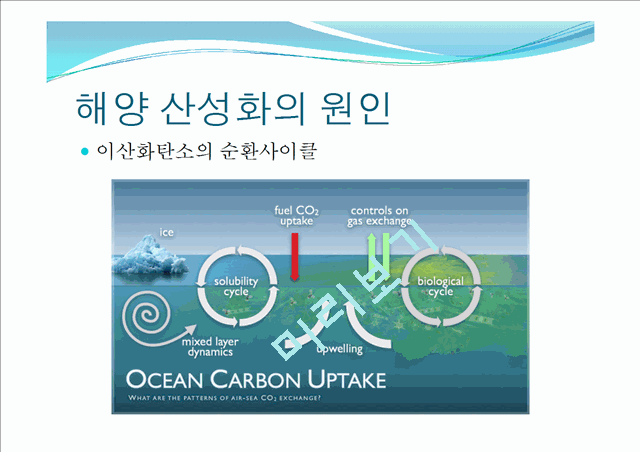 해양산성화의 정의와 원인,실태,피해,예방,완화 및 그외의 해양질병.pptx