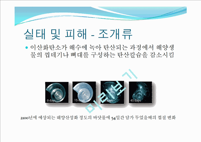 해양산성화의 정의와 원인,실태,피해,예방,완화 및 그외의 해양질병.pptx