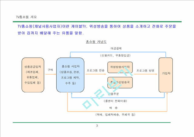 홈쇼핑(가칭) 사업계획.ppt