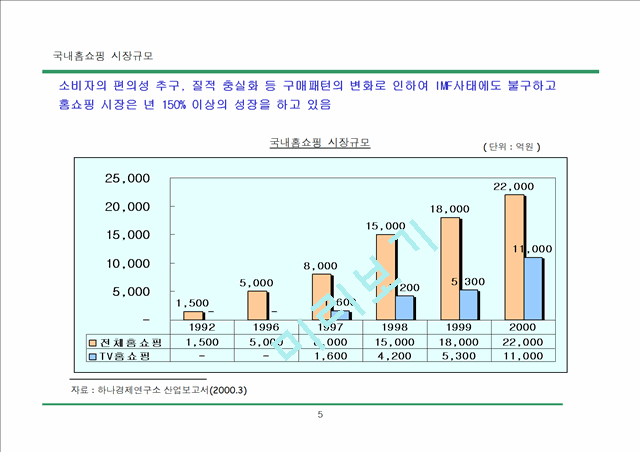 홈쇼핑(가칭) 사업계획.ppt