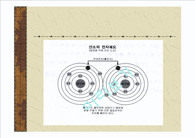 활성산소와항산화제.ppt