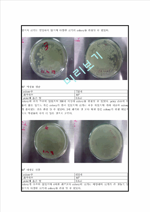 (미생물학실험)미생물 생균수 측정 Report .hwp