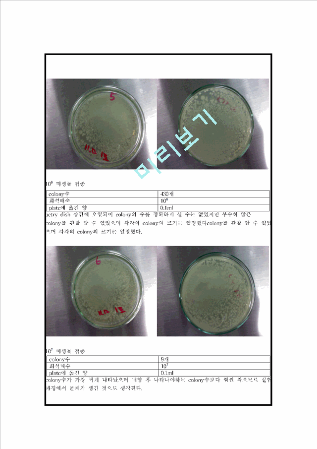 (미생물학실험)미생물 생균수 측정 Report .hwp
