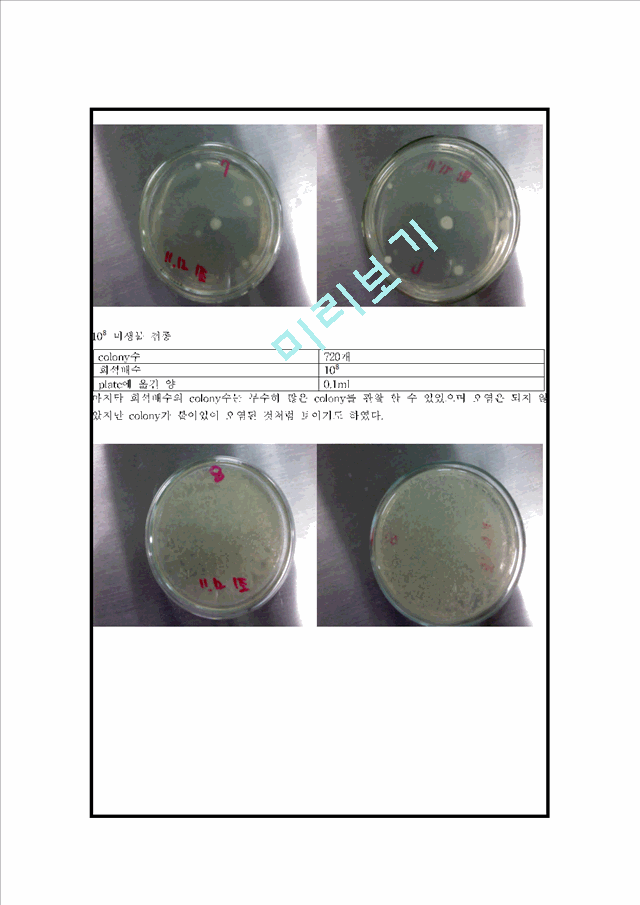 (미생물학실험)미생물 생균수 측정 Report .hwp