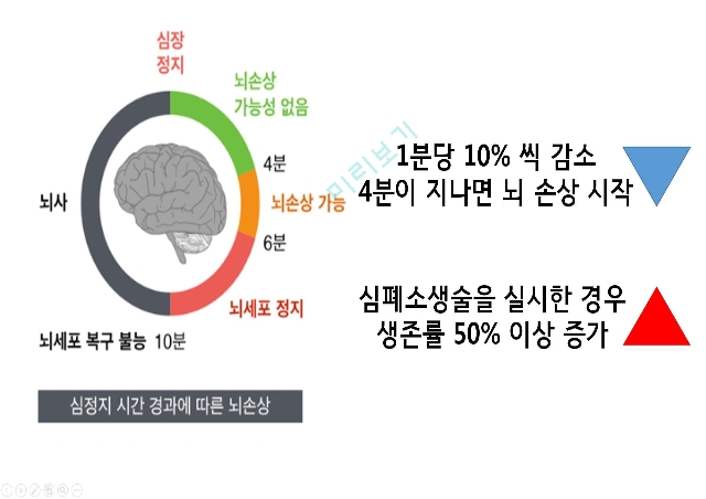 CPR발표.pptx