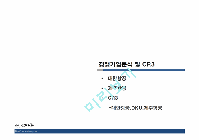 DKU AIRLINE,마케팅,브랜드,브랜드마케팅,기업,서비스마케팅,글로벌,경영,시장,사례,swot,stp,4p.pptx