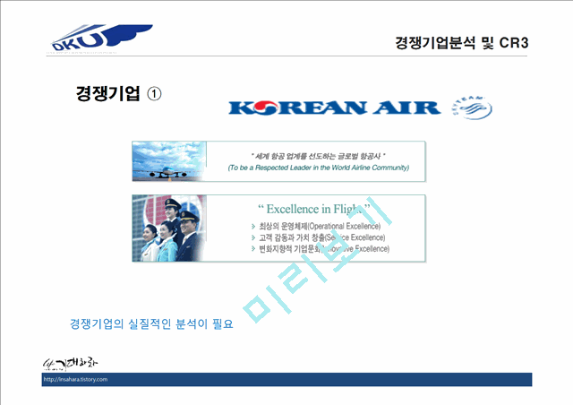 DKU AIRLINE,마케팅,브랜드,브랜드마케팅,기업,서비스마케팅,글로벌,경영,시장,사례,swot,stp,4p.pptx