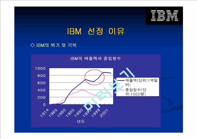 IBM의 위기상황과 대응전략.ppt