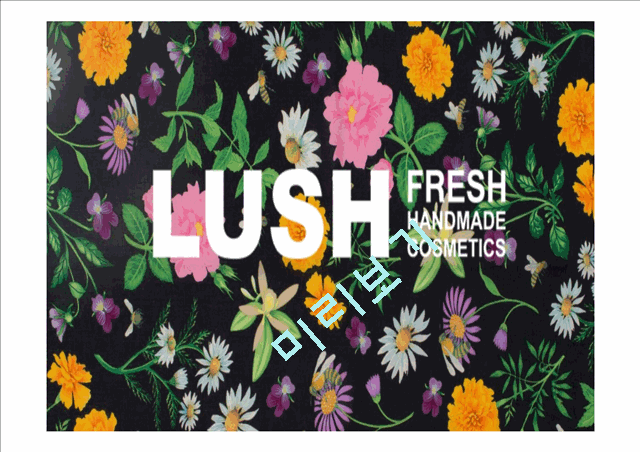 LUSH 마케팅전략.pptx