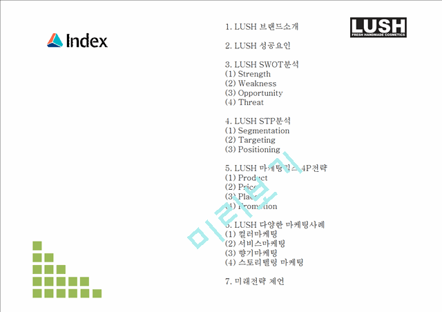 LUSH 마케팅전략.pptx