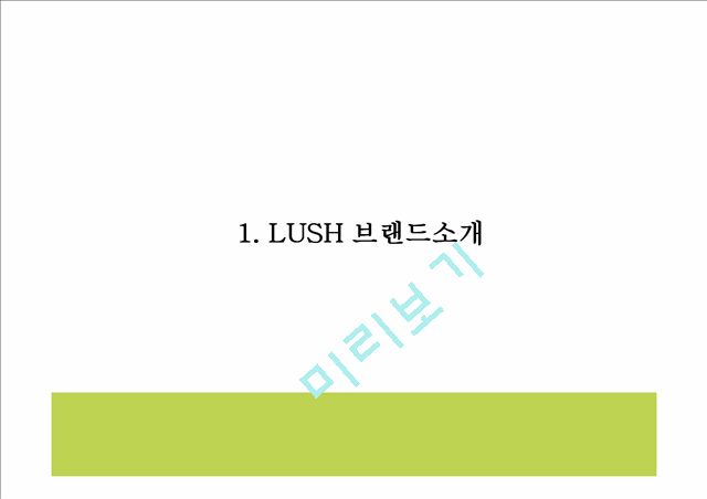 LUSH 마케팅전략.pptx