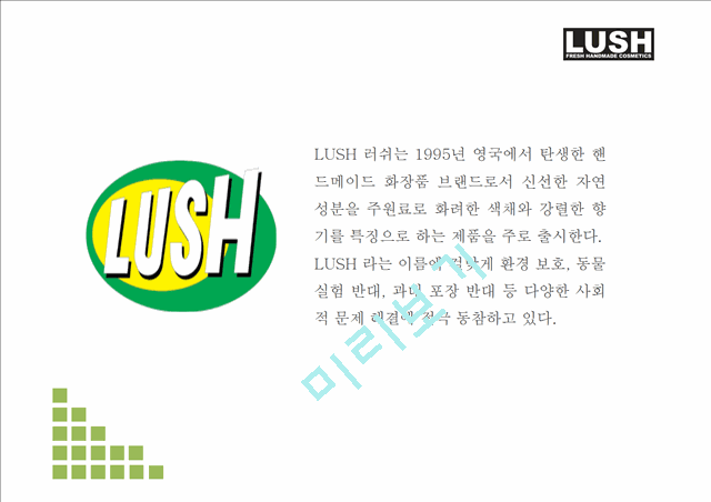 LUSH 마케팅전략.pptx