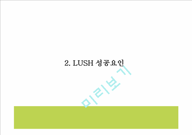 LUSH 마케팅전략.pptx