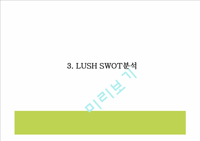 LUSH 마케팅전략.pptx