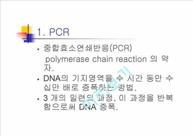 PCR과 Western blot.ppt