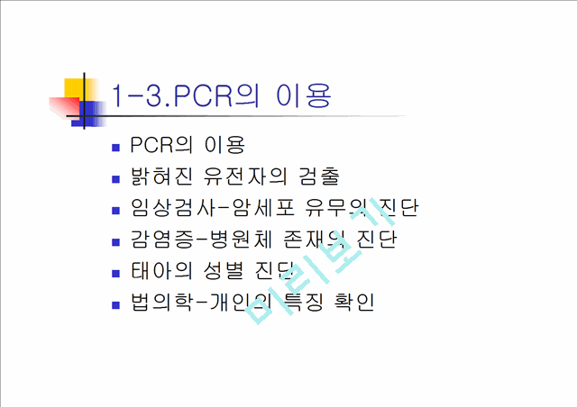 PCR과 Western blot.ppt