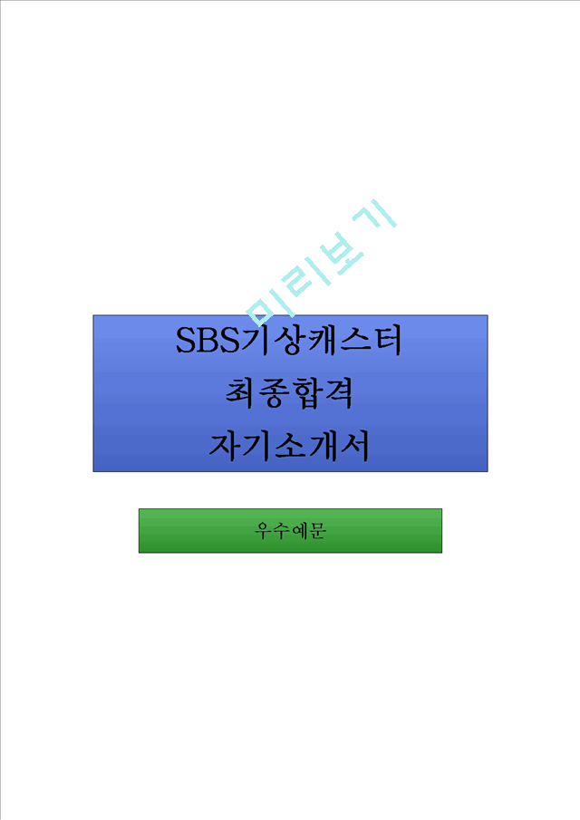 SBS기상캐스터 합격 자기소개서.hwp