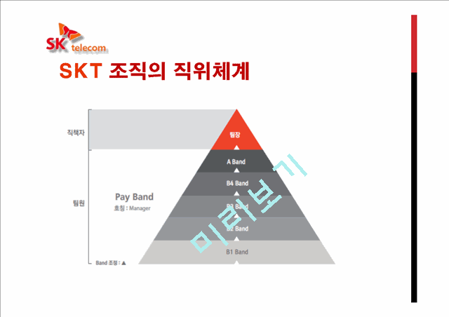 SK Telecom의 기업소개와 조직구조개편 및 조직구조분석.pptx