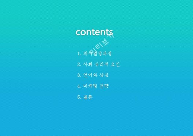 language & symbol,의사결정과정,사회심리적요인,언어와상징,마케팅전략.pptx