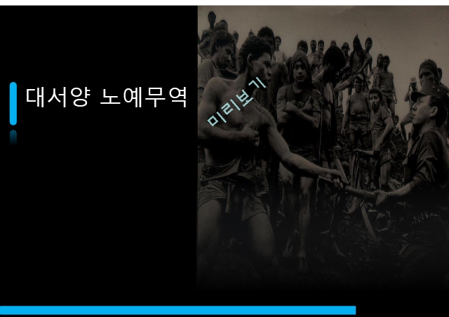 대서양 노예무역 노예무역의 경로 남성노예가 해외 남성노예가 해외경영경제레포트