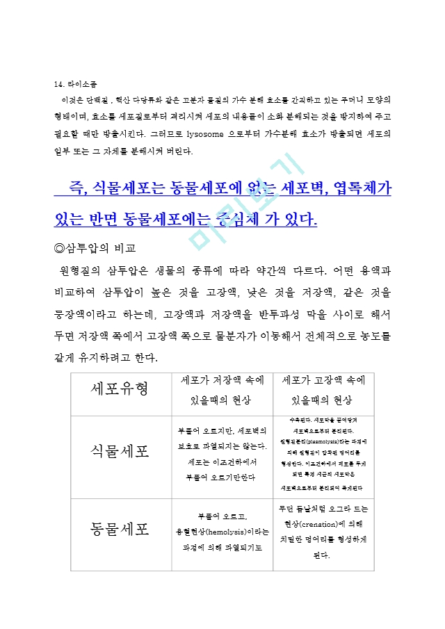 동물세포 엽록체