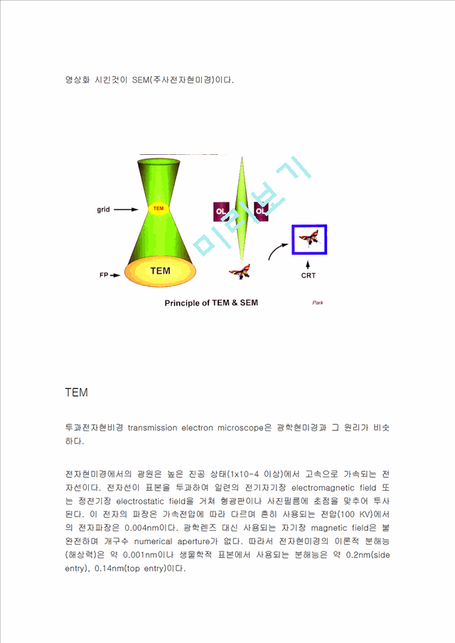 전자현미경과 광학현미경자연과학레포트