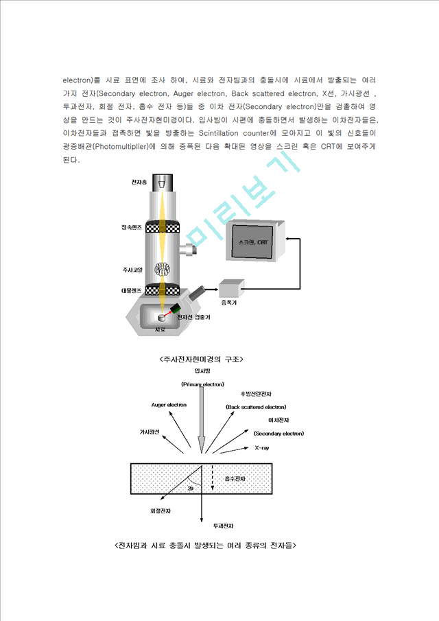 주사전자현미경 이미지